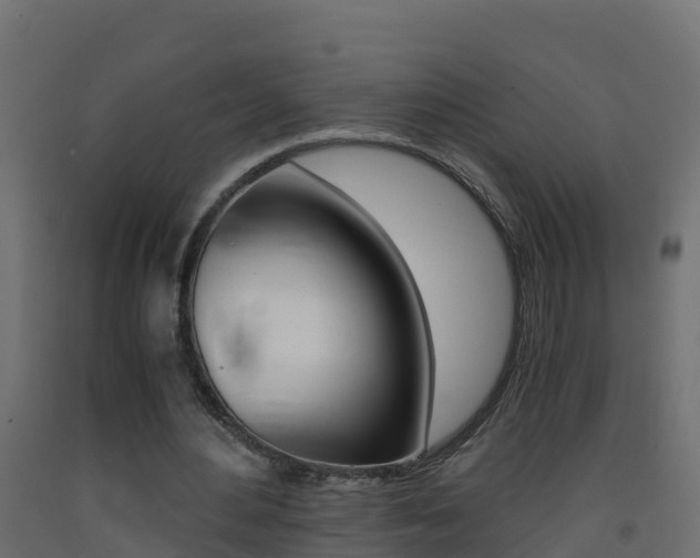 X0000093410484200710120919