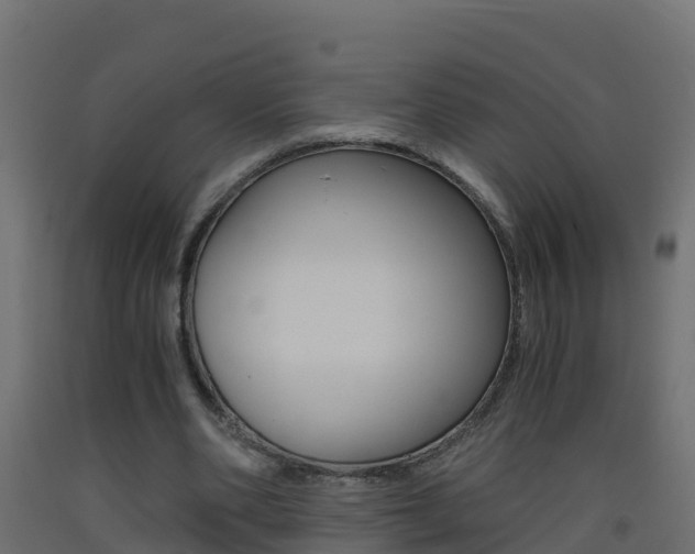 X0000093410486200710120919