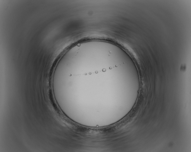 X0000093410487200710120919