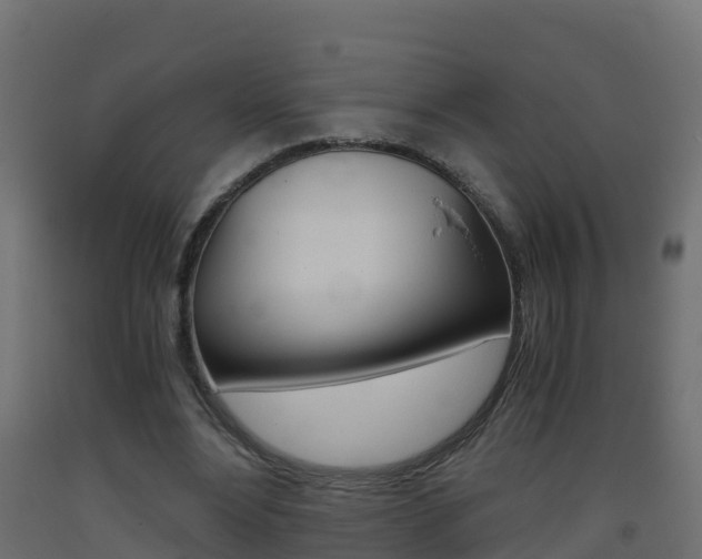 X0000093410488200710120919