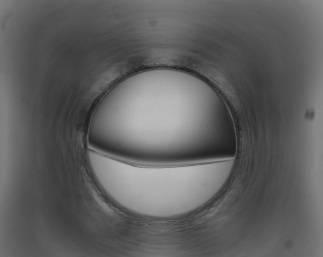 X0000093410489200710120919