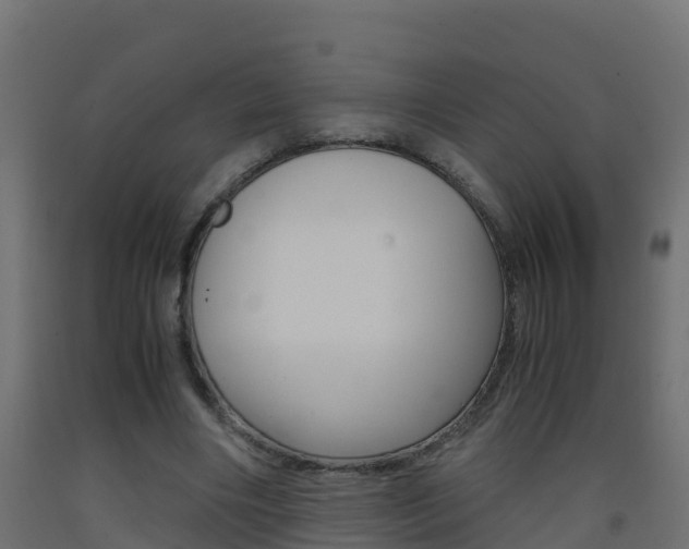 X0000093410490200710120919