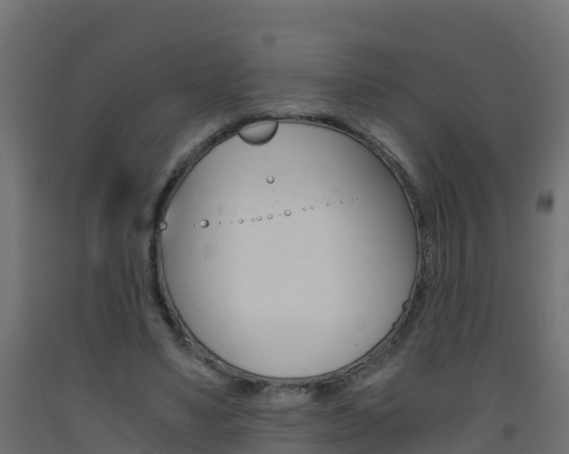 X0000093410491200710120919