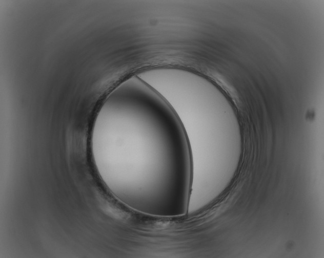 X0000093410493200710120919