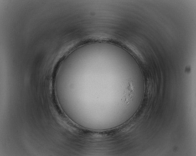 X0000093410494200710120919
