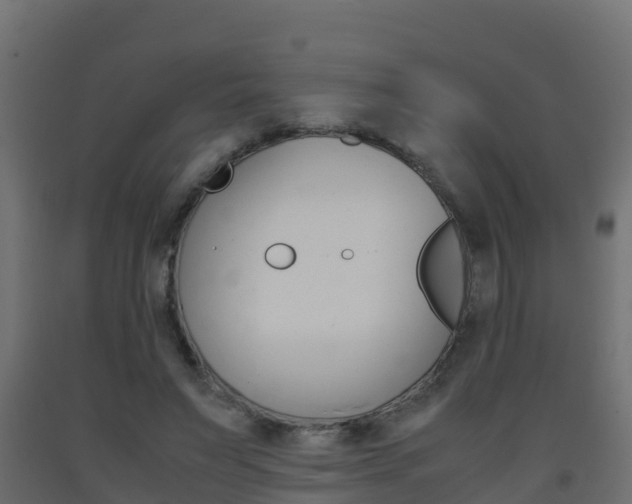 X0000093410495200710120919