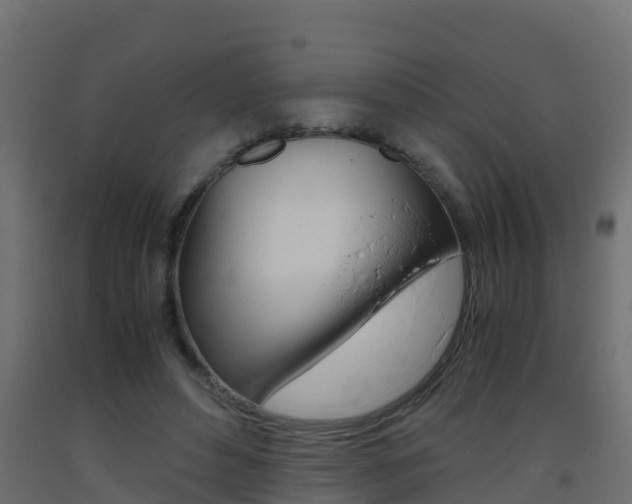 X0000093410496200710120919