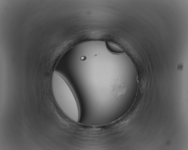 X0000093410497200710120919