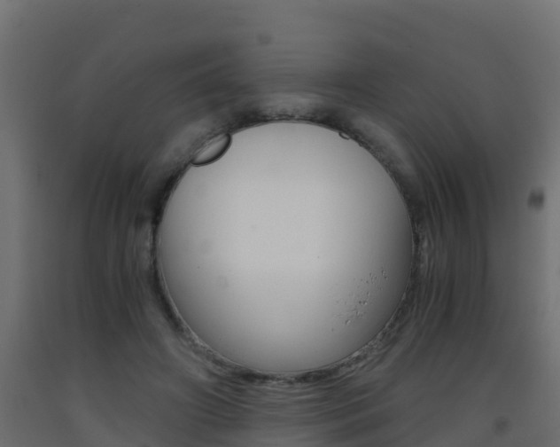 X0000093410498200710120919