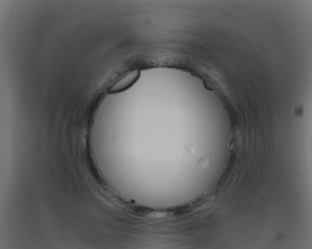 X0000093410499200710120919