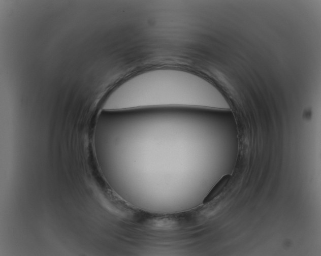 X0000093410500200710120919
