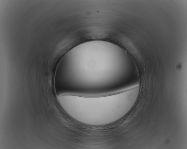 X0000093410501200710120919