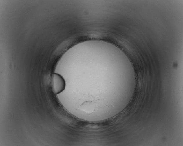 X0000093410502200710120919