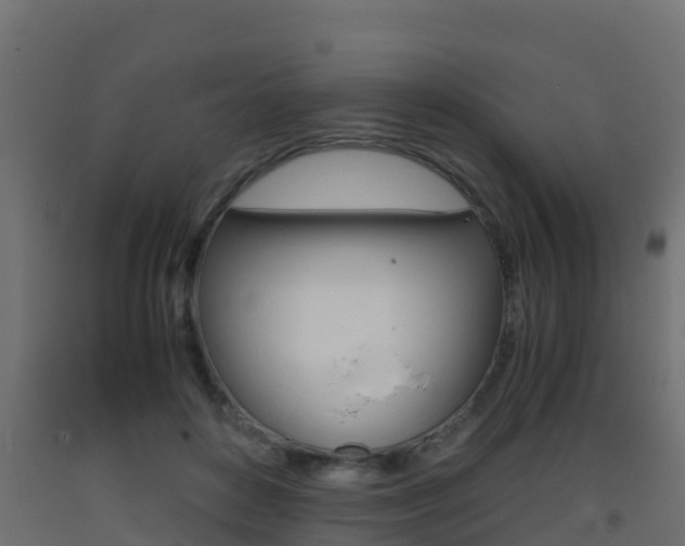 X0000093410504200710120919