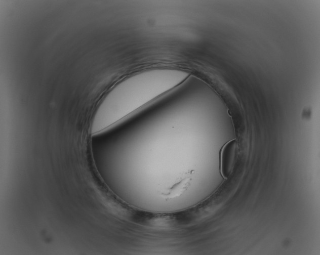 X0000093410505200710120919