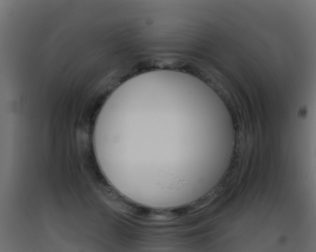 X0000093410510200710120919