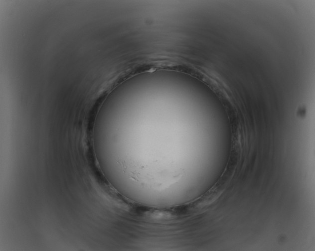 X0000093410512200710120919