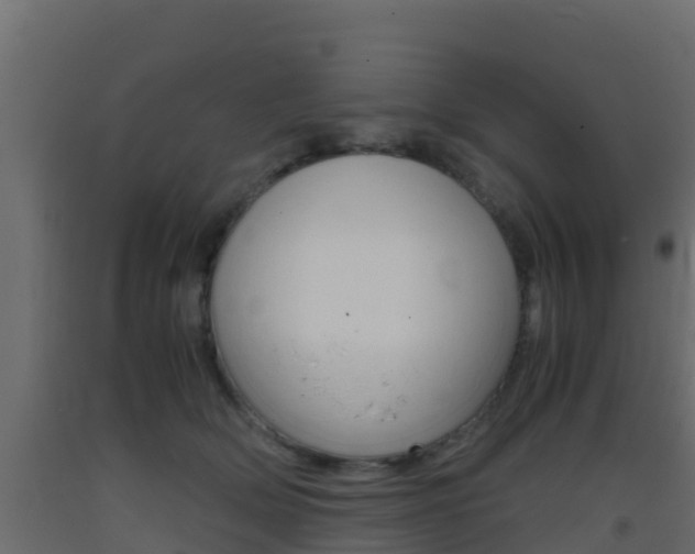 X0000093410514200710120919