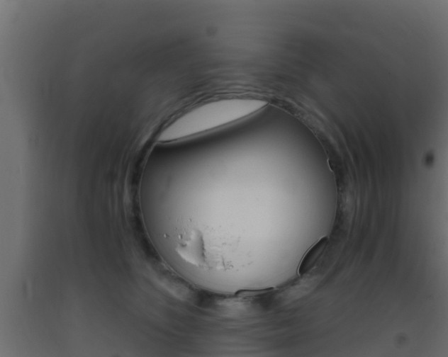 X0000093410516200710120918