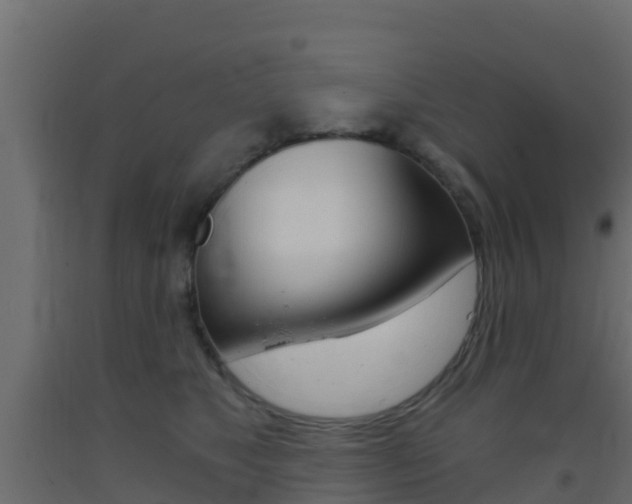 X0000093410517200710120918
