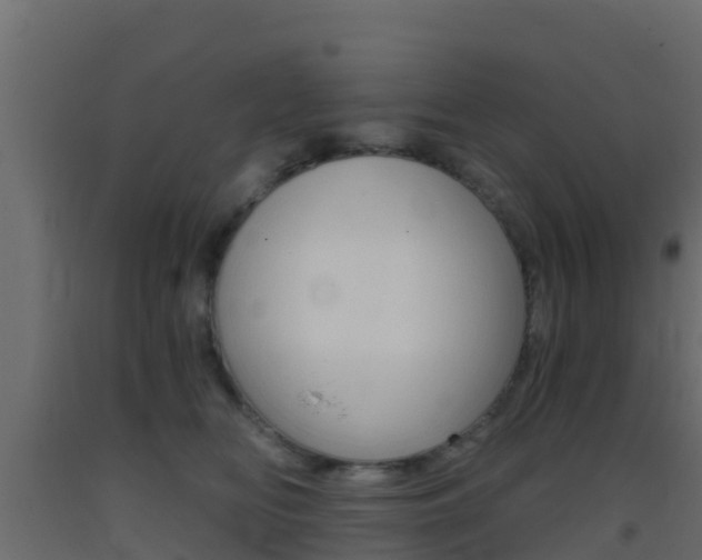X0000093410518200710120918