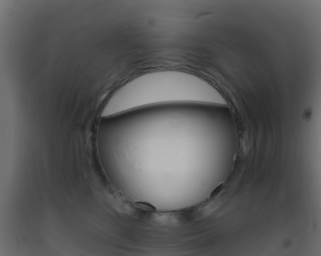 X0000093410520200710120918