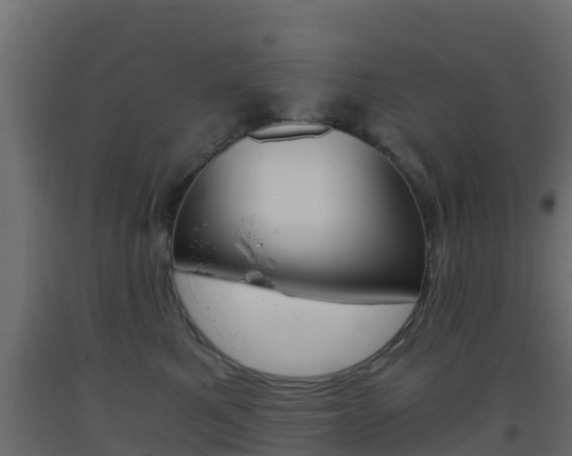 X0000093410521200710120918