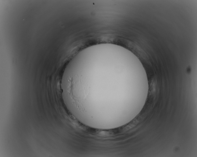X0000093410522200710120918