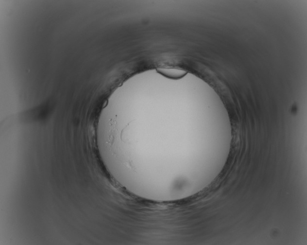 X0000093410523200710120918