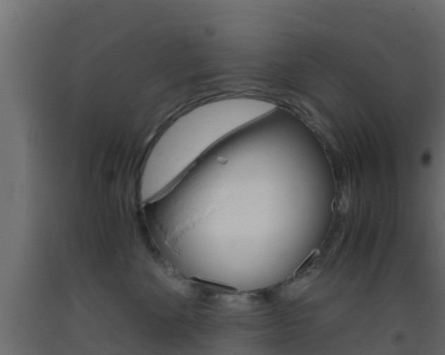 X0000093410524200710120918
