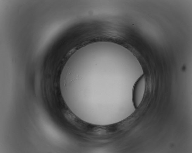 X0000093410526200710120918