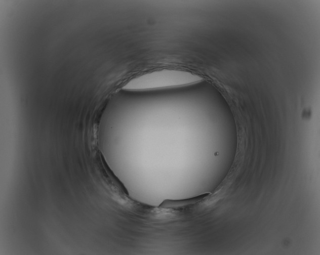 X0000093410528200710120918