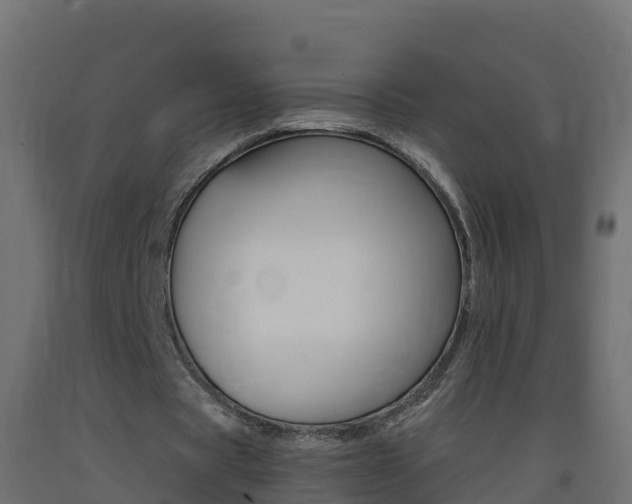 X0000093410529200710120918