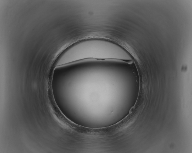 X0000093410530200710120918