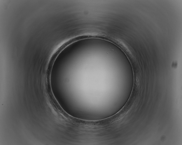 X0000093410532200710120918