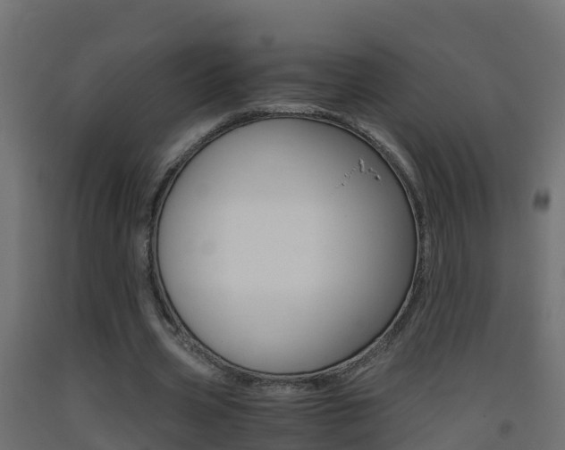X0000093410533200710120918