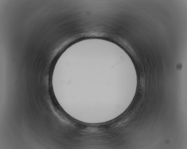 X0000093410534200710120918