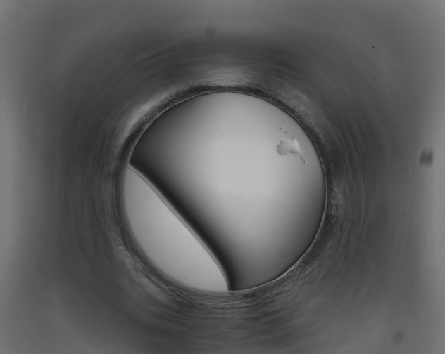 X0000093410535200710120918
