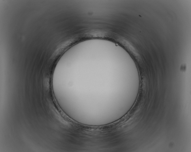 X0000093410537200710120918