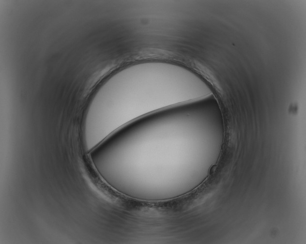 X0000093410538200710120918