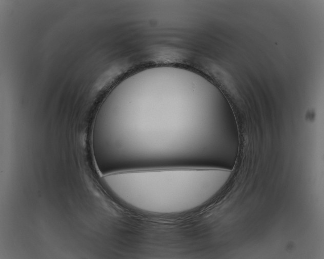 X0000093410539200710120918