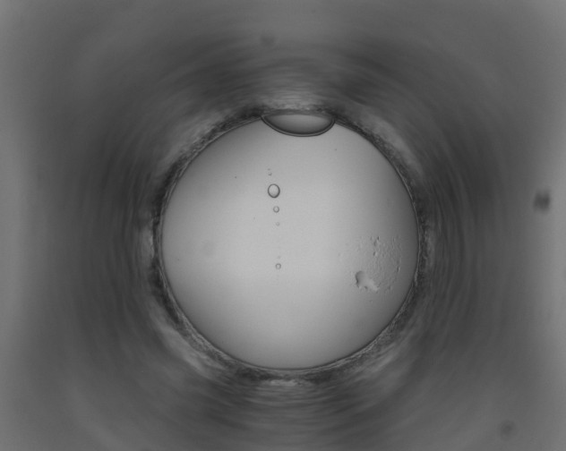 X0000093410541200710120918