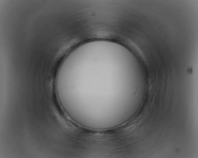 X0000093410542200710120918