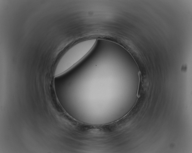 X0000093410544200710120918