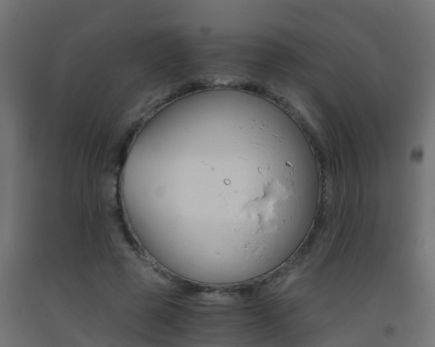 X0000093410545200710120918