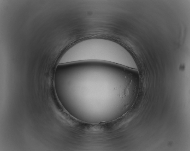 X0000093410546200710120918
