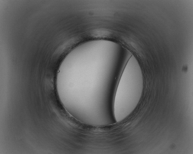 X0000093410547200710120918