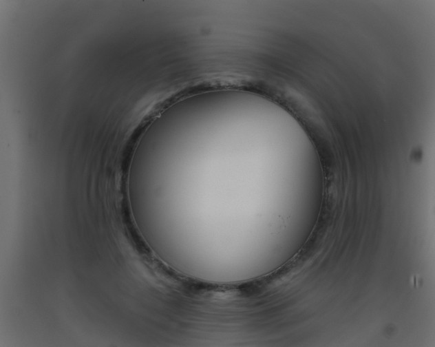 X0000093410548200710120918