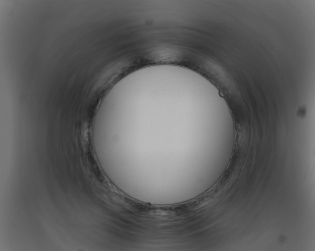 X0000093410549200710120918
