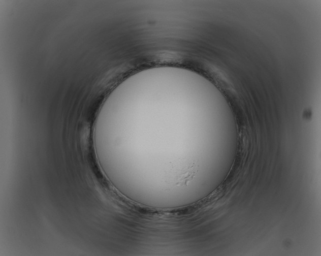 X0000093410550200710120918